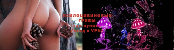 соль ск Абаза