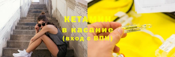 крисы Осинники
