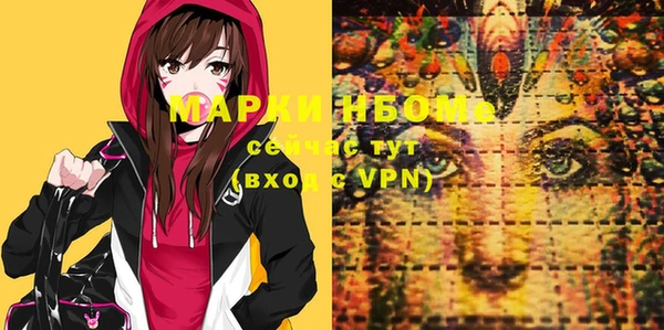 apvp Осташков
