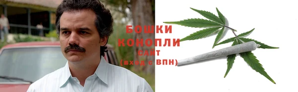 крисы Осинники