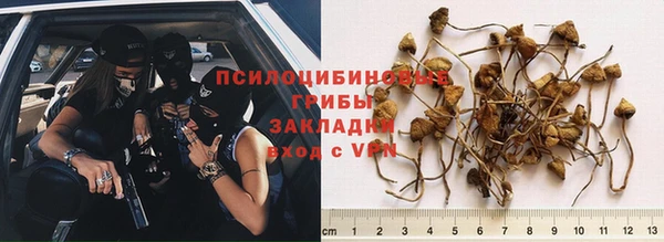 синтетический гашиш Алексин